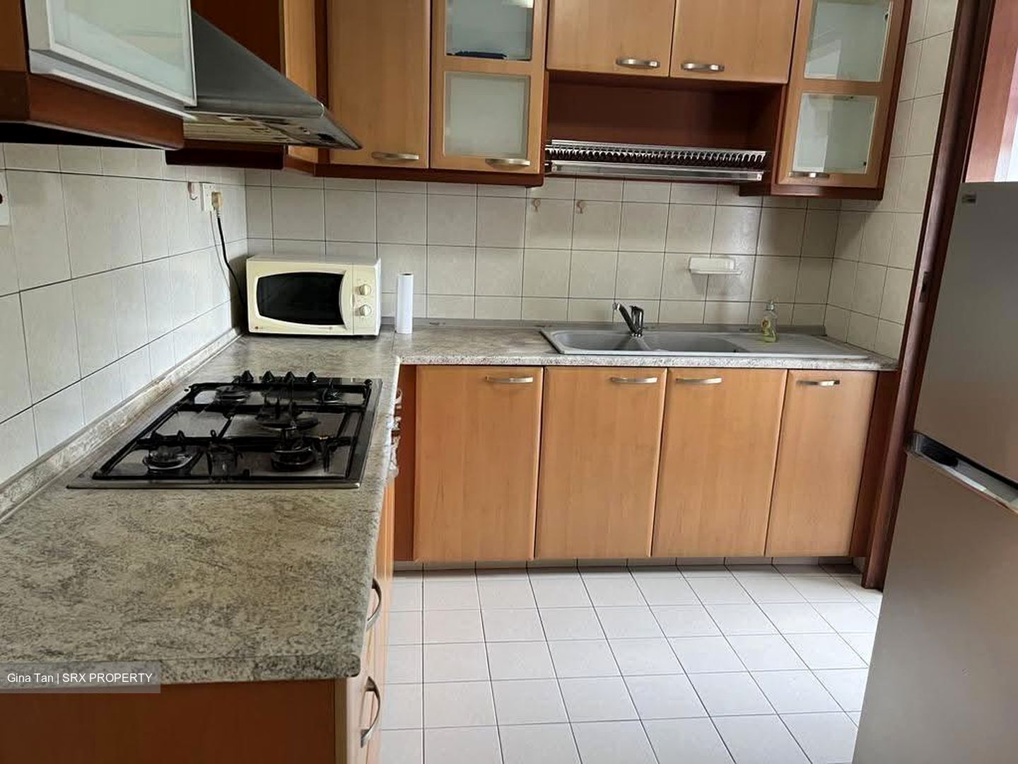 Carissa Park Condominium (D17), Condominium #618138301